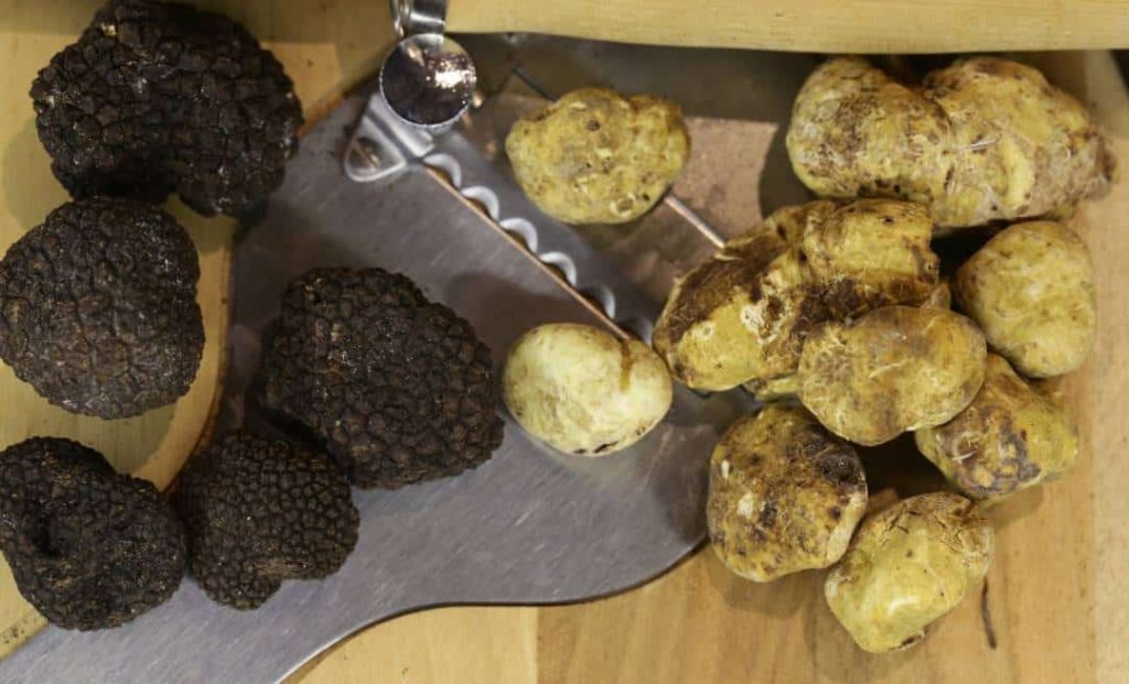 Trufa-Negra-e-Branca